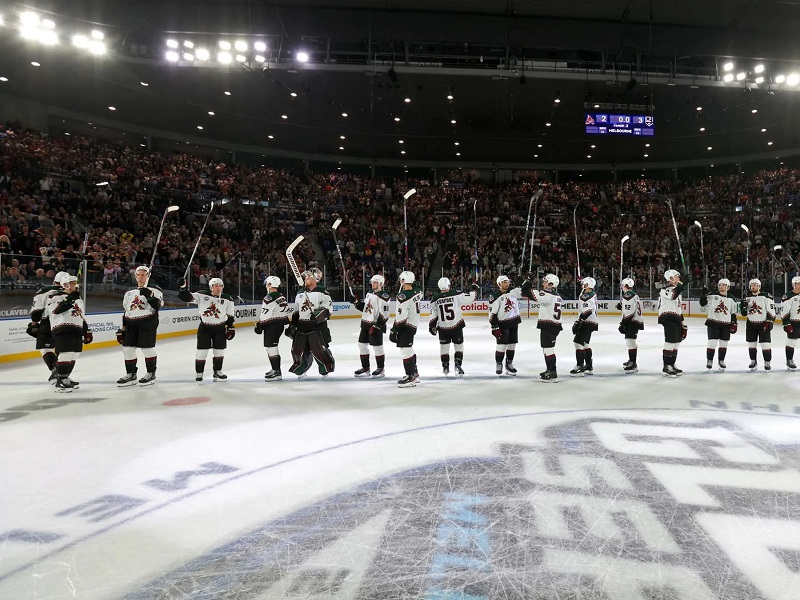 Хоккейный стадион NHL